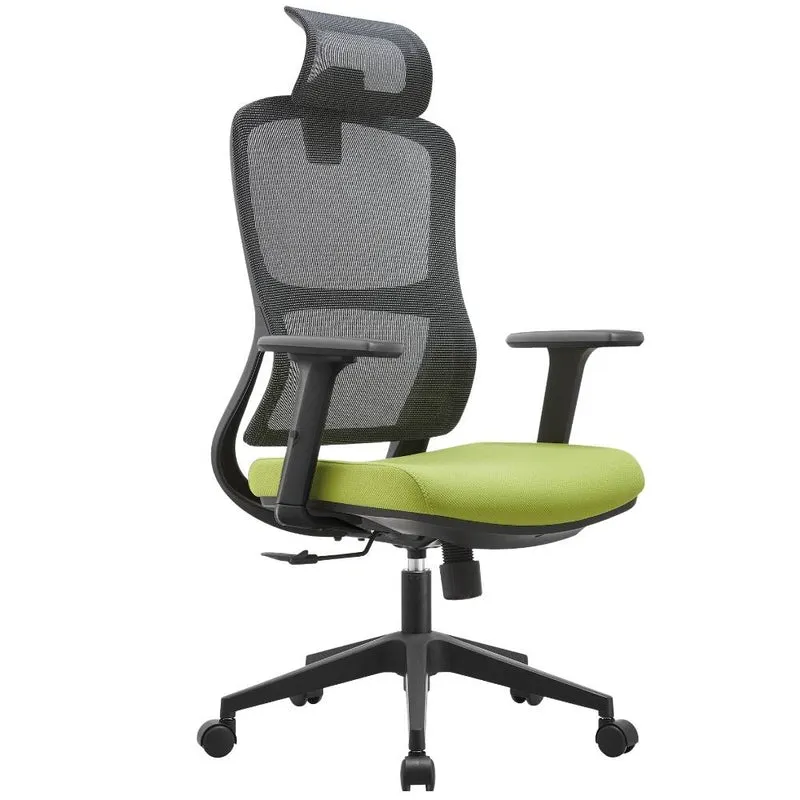 Sedia da Ufficio Professionale Ergonomica con Poggiabraccia e Supporto Lombare