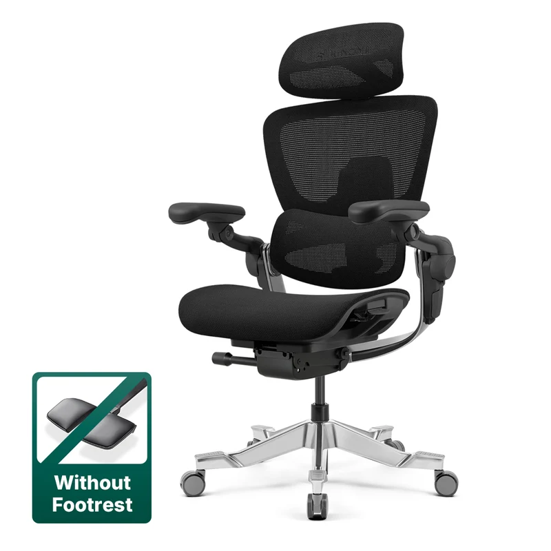 Hinomi H2 Pro Ergonomic Home Office Chair Without Footrest