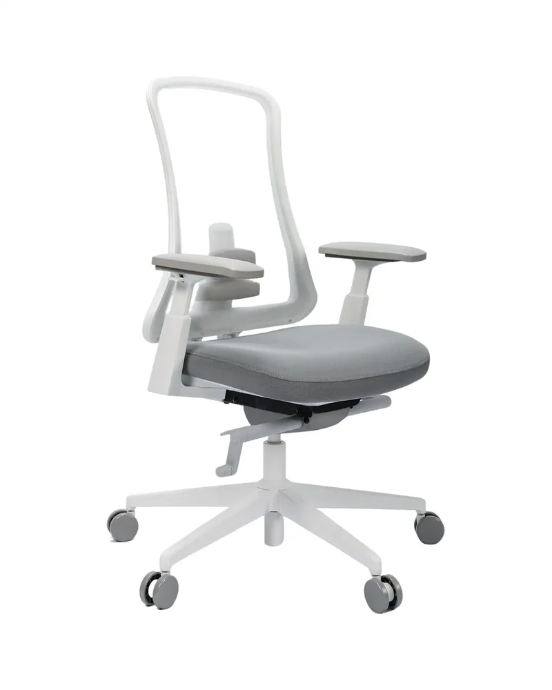 Flexer Pro Office Chair