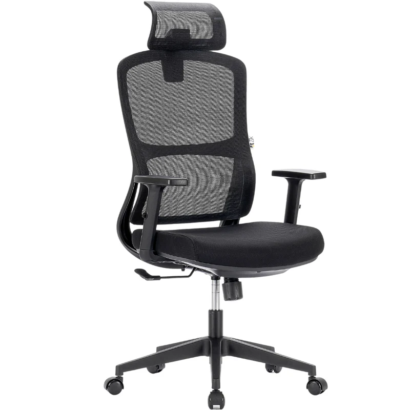 Sedia Da Ufficio Ergonomica Con Poggiabraccia Regolabili Portata 150Kg