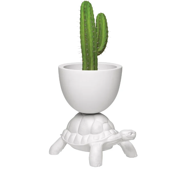 Turtle Carry Planter - Qeeboo